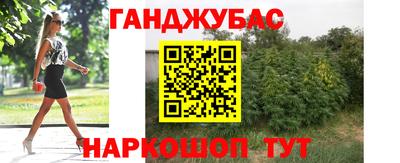 mdpv Заводоуковск