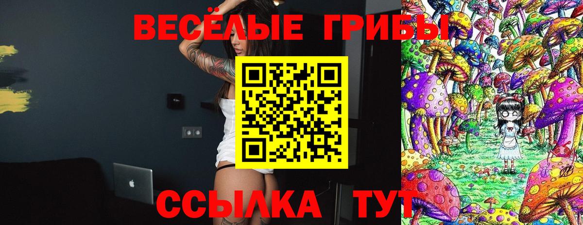 Псилоцибиновые грибы MAGIC MUSHROOMS  продажа наркотиков  Псилоцибиновые грибы Magic Shrooms  Курчалой  Вход с VPN 