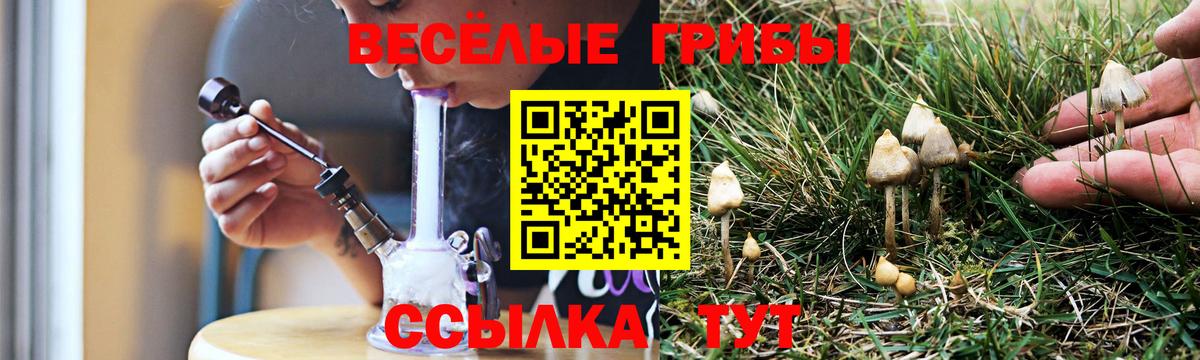 Галлюциногенные грибы Magic Shrooms Курчалой